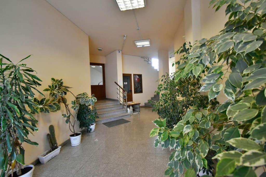 Appartamento 35 Cozy 1 Bedroom With Balcony